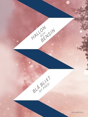 cover image of Hallon och bensin